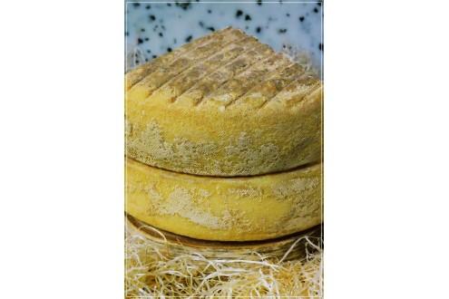 Tomme de Roncq