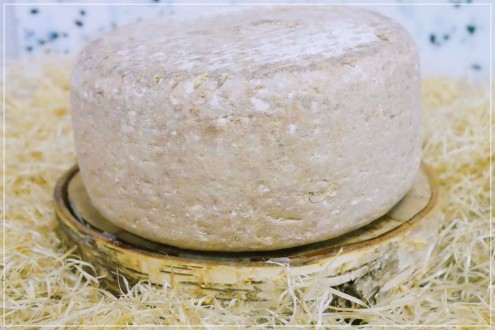 Pyrénées Brebis Ossau Iraty 50%