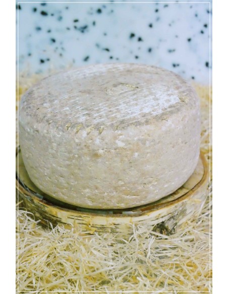 Pyrénées Brebis Ossau Iraty 50%