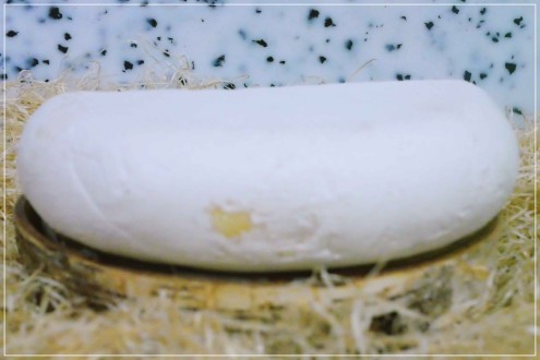 Chèvre de Bergues Past. de Moerenaar