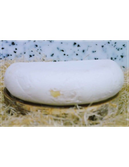 Chèvre de Bergues Past. de Moerenaar