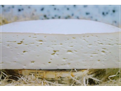 Chèvre de Bergues Past. de... 2