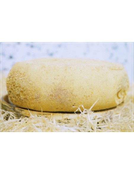 Gouda Chèvre Artisanal Croûte Naturelle