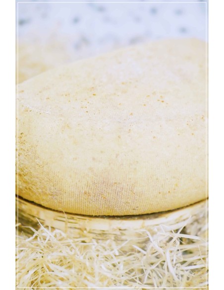 Gouda Chèvre Artisanal Croûte Naturelle