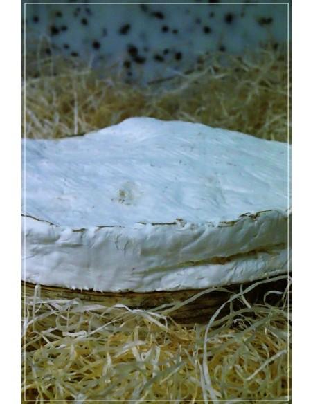 Brie de Meaux 1/4 Affiné