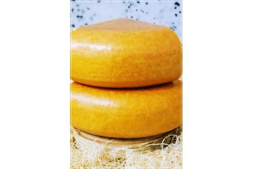 Gouda Cassant Nord Hollande