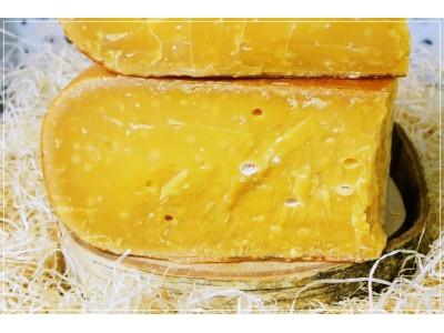 Gouda Cassant Nord Hollande