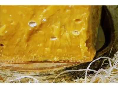 Gouda Cassant Nord Hollande 2