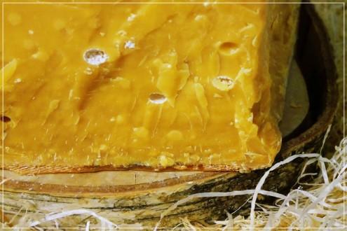 Gouda Cassant Nord Hollande