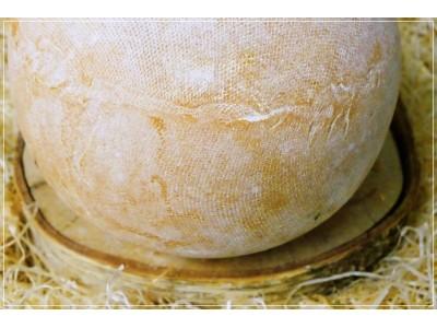 Mimolette Lait Cru César Losfeld