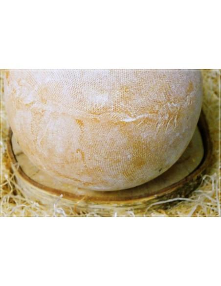 Mimolette Lait Cru César Losfeld