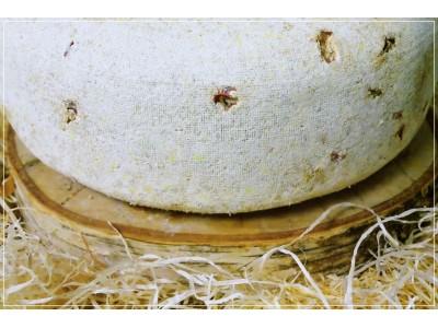 La Oueille Brebis au Piment Espelette