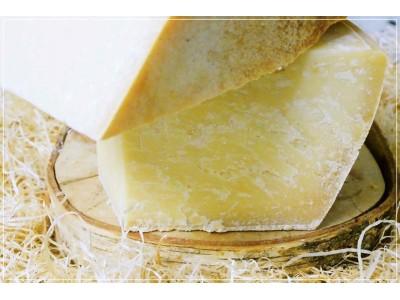 Parmigiano Reggiano 24 mois AOP