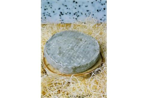 St Nectaire Charrade Fermier