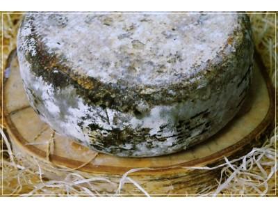 Tomme de Savoie Lait Cru Entier Pliée