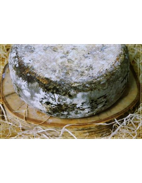 Tomme de Savoie Lait Cru Entier Pliée