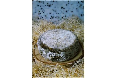 Tomme de Savoie Lait Cru Entier Pliée