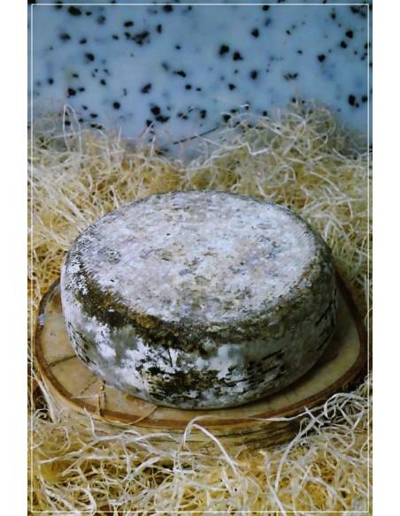 Tomme de Savoie Lait Cru Entier Pliée